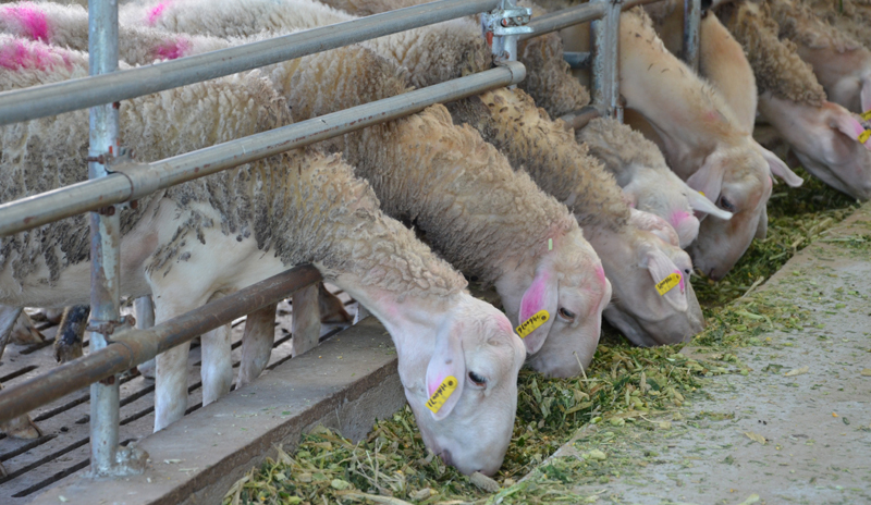 1641523299122266.jpg fab5fcc9e9f7be2f141099d07365ff96.jpg