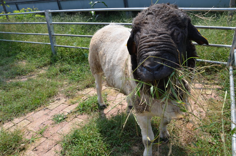 1641523621803876.jpg 9a37b2088e64d55fe947051bd08e1e94.jpg